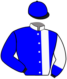 POULIDOR BRAVOURE