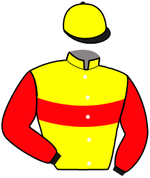 PRINS SCHERMER
