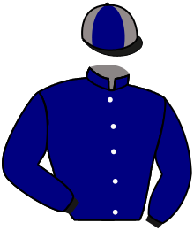 DELMEGAN