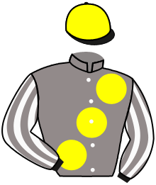 SHINCO DU FICHEAU