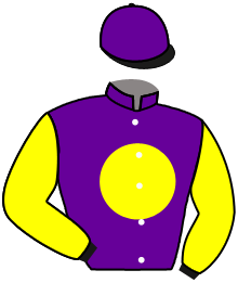 POLAR REBEL