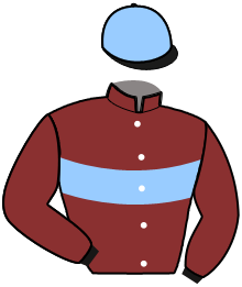 MISTY DES LANDIERS
