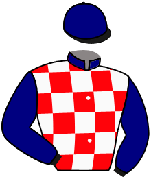 VENDEDOR DE FANTASIA