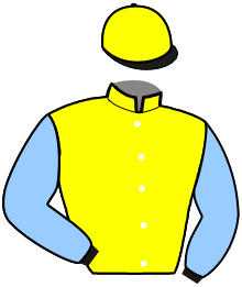 JUDGE D.