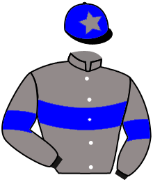 VIVALIA DES PINS