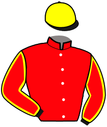 LAMIRAL D'ERABLE