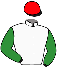 SILVER BULLIT(SWE)