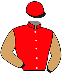 LUTIN DE BAFFAIS