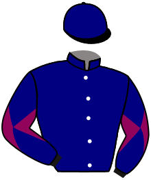 LIBERTY FLY
