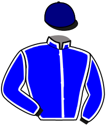 MUSTANG D'ERI