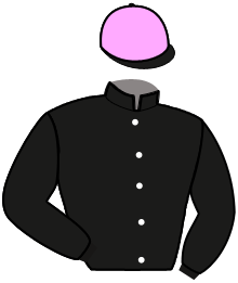 LADY DUCALE
