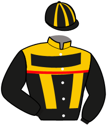 HANSI D.