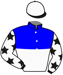 BLAUER MAX