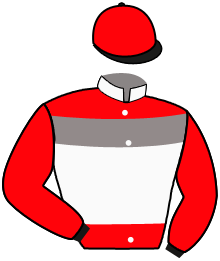 DANIEL NEGREANU