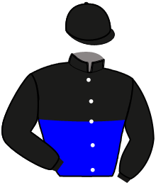LEADER DU POMMEAU