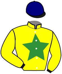 LUMIERE DU CHENE