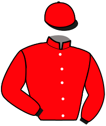 CHEVAL FINALISTE 3