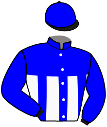 CHEVAL FINALISTE 8