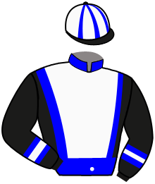 CHEVAL FINALISTE 9