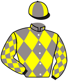 THE CONSUL