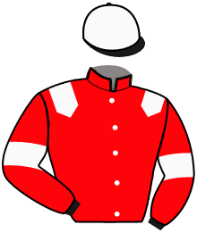 KENTUCKY SCARLET