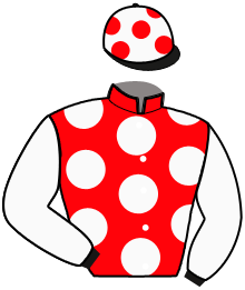 NINO DU POMMEREUX