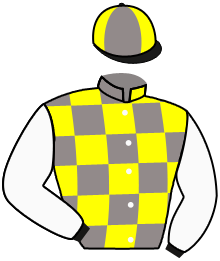 TIZ CAT
